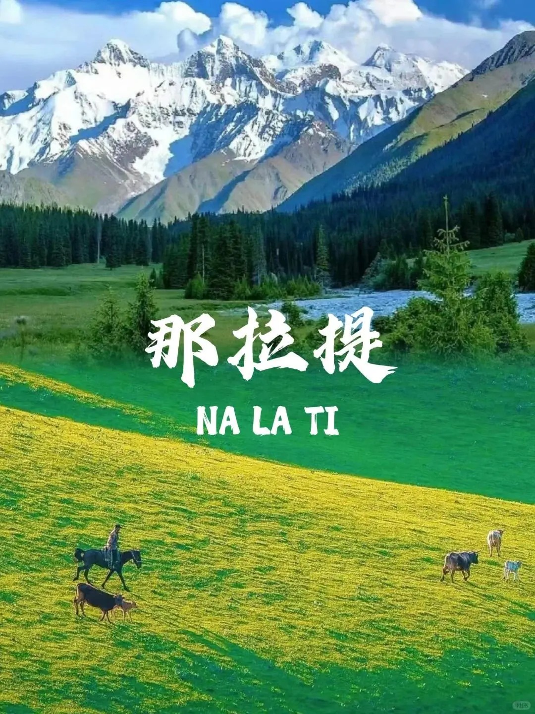 那拉提：云端牧歌，空中草原的诗与梦_1_一只自由鸟_草原-新疆-来自52tours 我爱旅游网